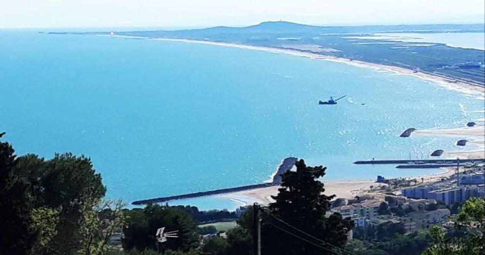 Joli F3 Sete A La Caraussanne Daire Dış mekan fotoğraf